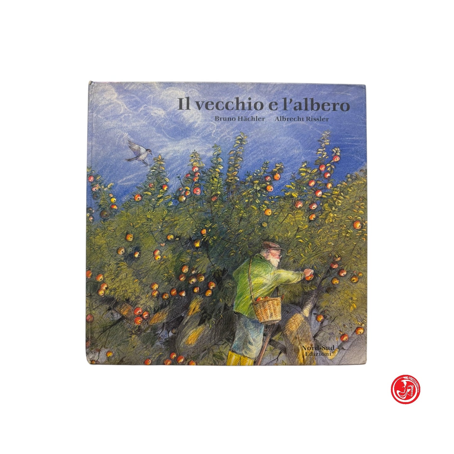 Ragazzi - Il vecchio e l'albero
