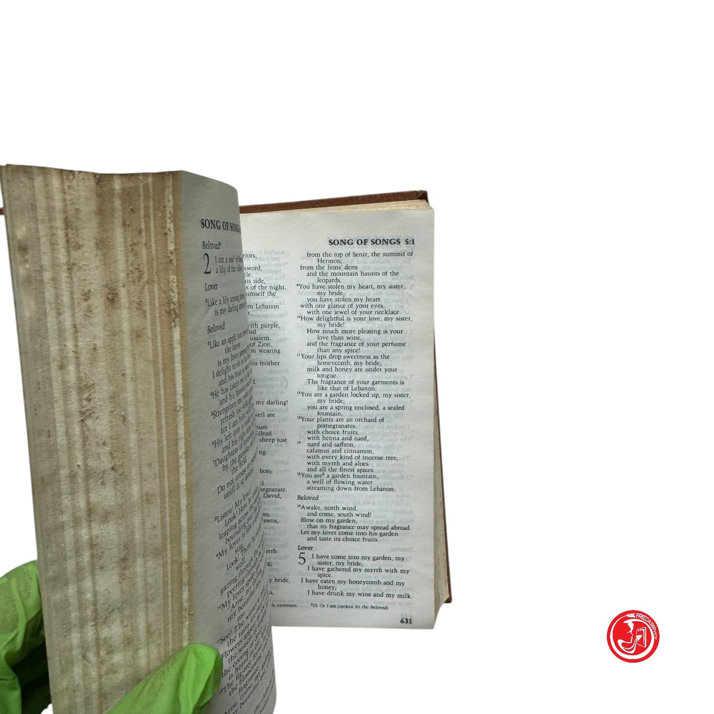Religione - Holy Bible