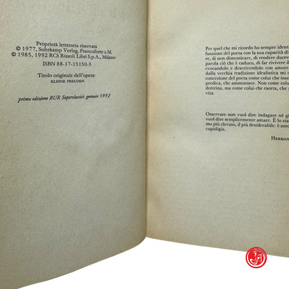 Raccolta di prose brevi - H. Hesse - Piccole gioie