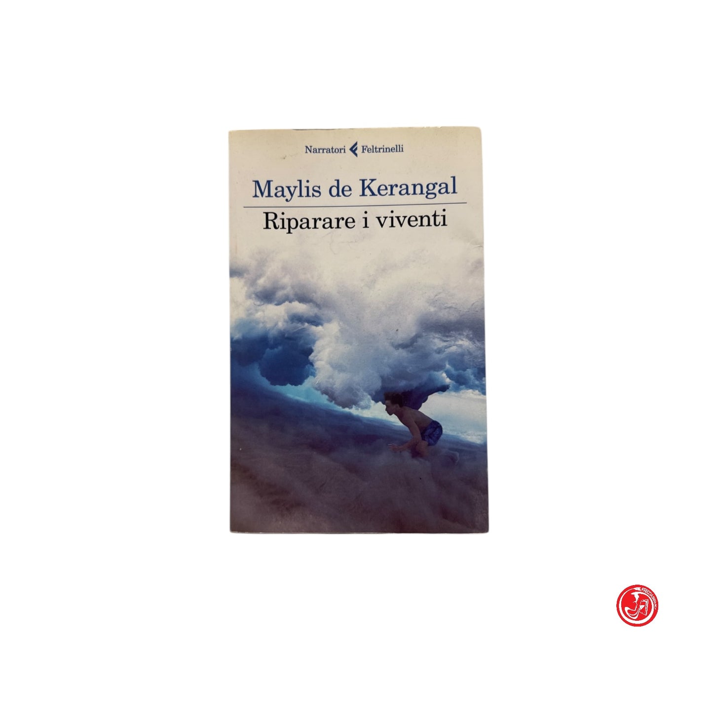 Romanzo - M. de Kerangal - Riparare i viventi