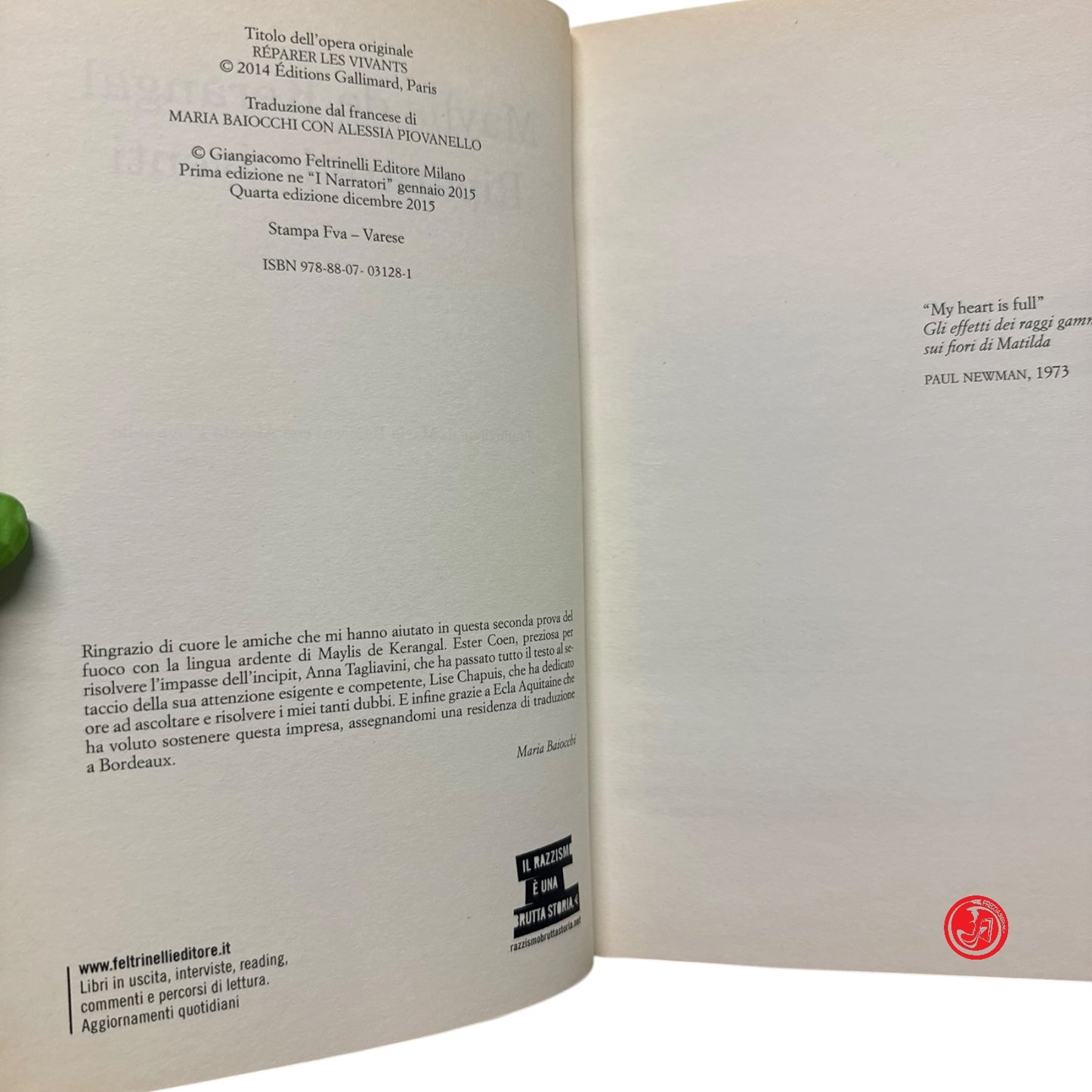 Romanzo - M. de Kerangal - Riparare i viventi