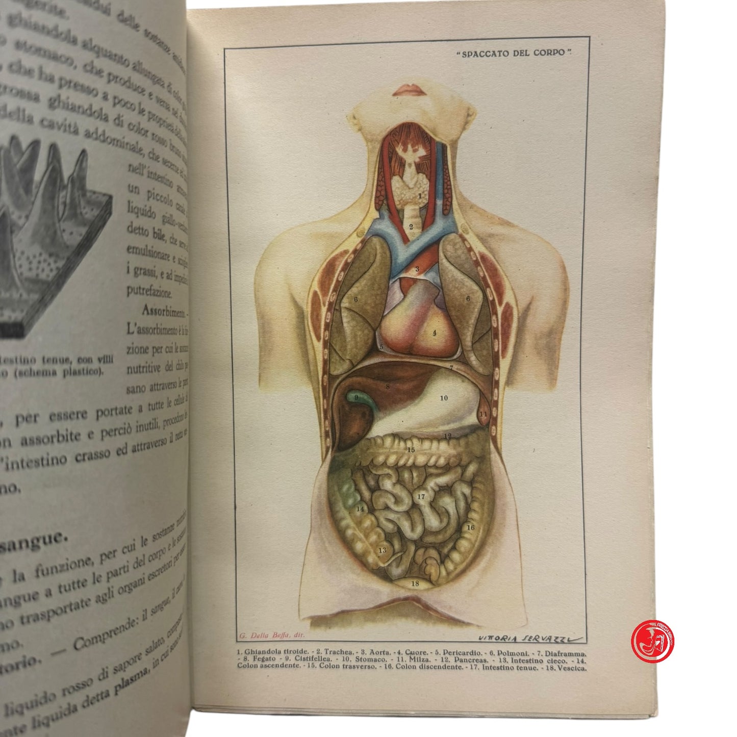 Libri di testo - Elementi di scienze Vol. 1 Zoologia e botanica
