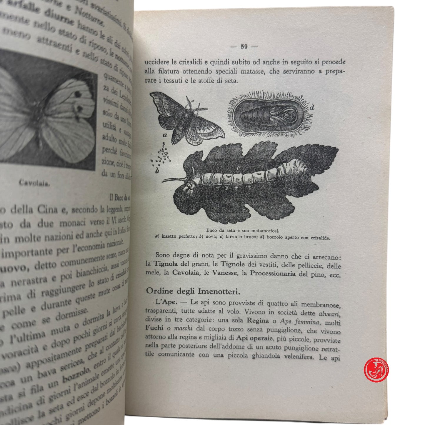 Libri di testo - Elementi di scienze Vol. 1 Zoologia e botanica