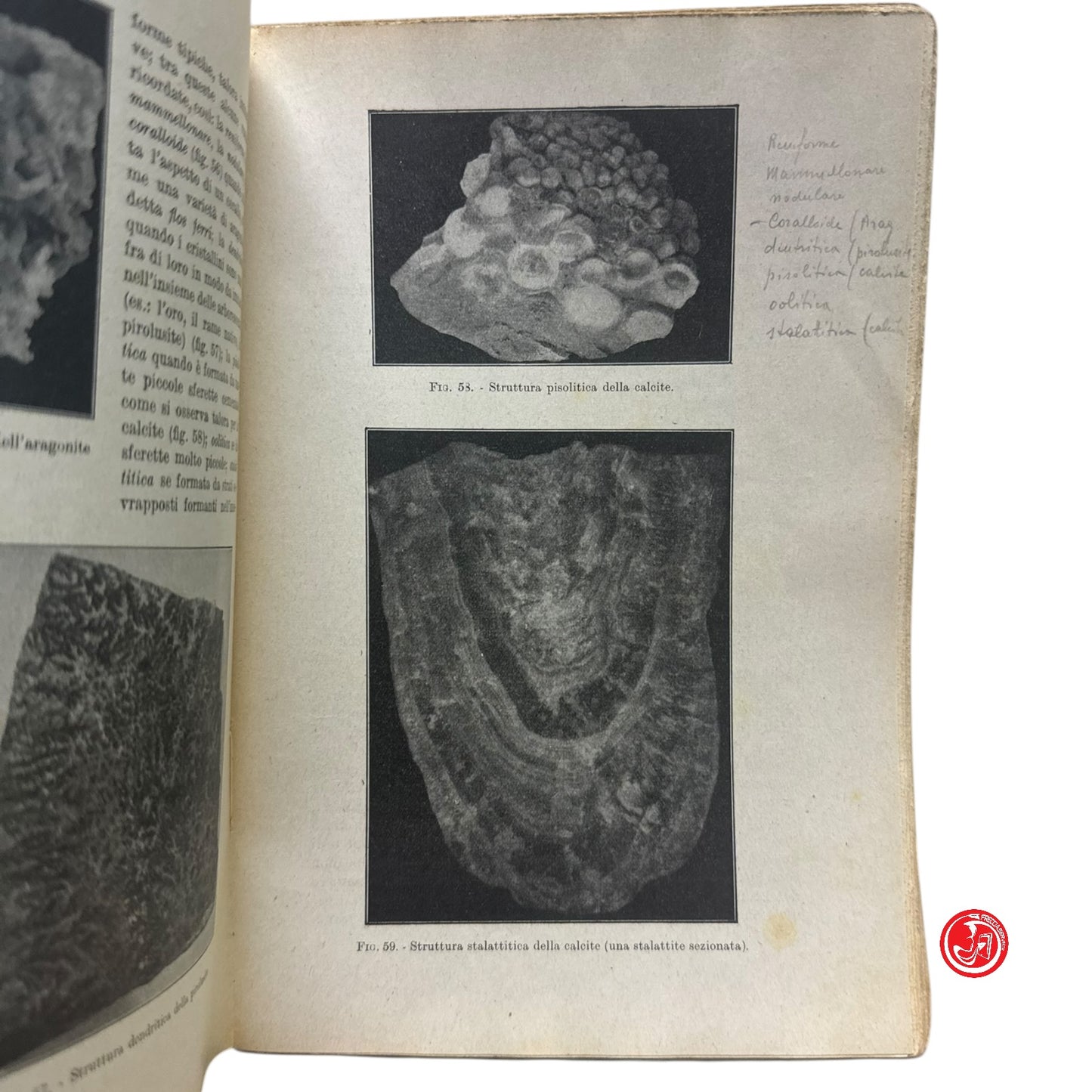 Libro di testo - Nozioni di chimica e mineralogia