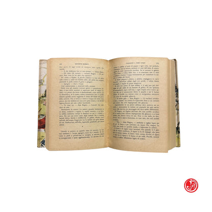 Romanzo - K. Roberts - Passaggio a nord ovest