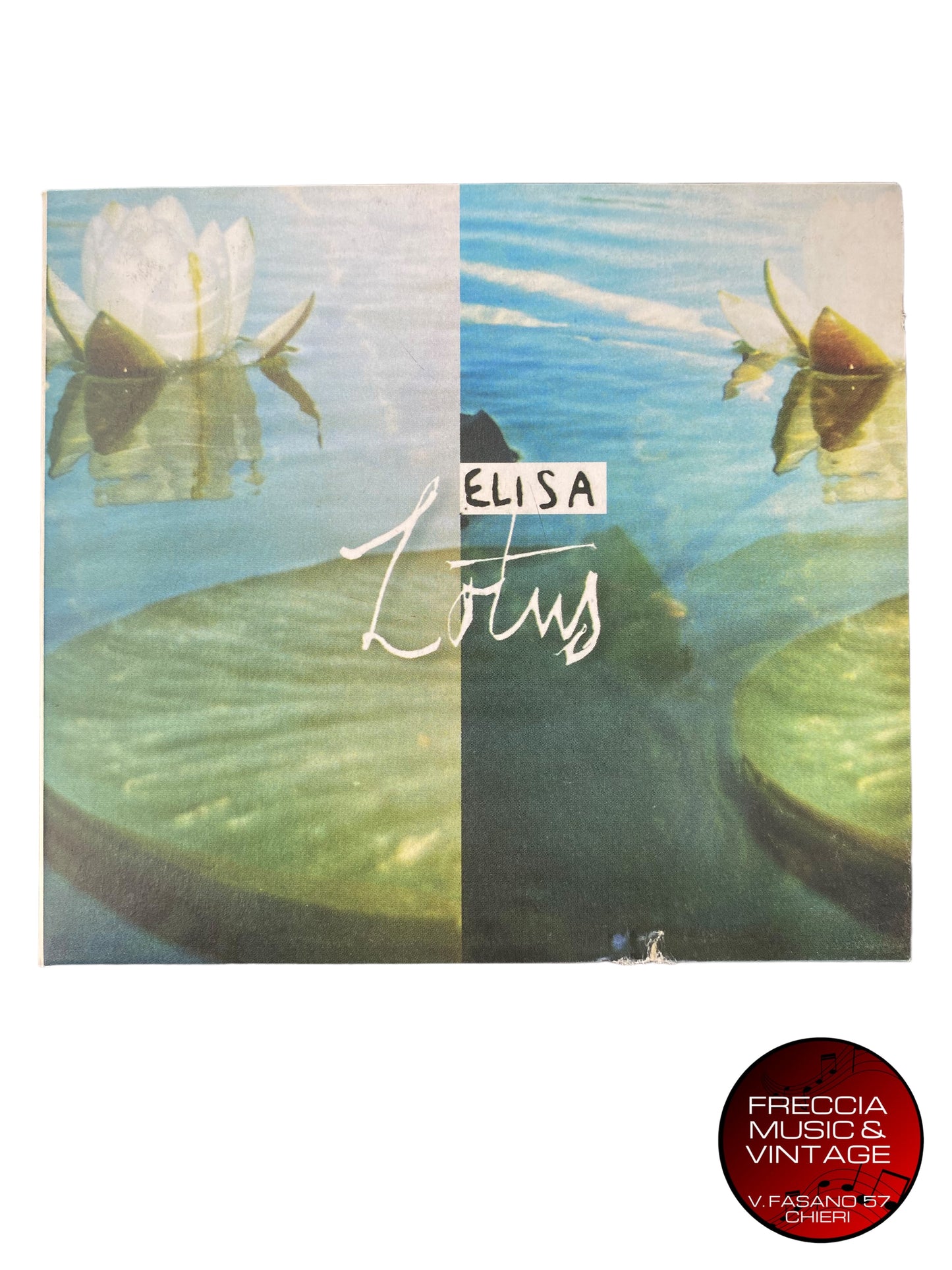 CD ELISA LOTUS