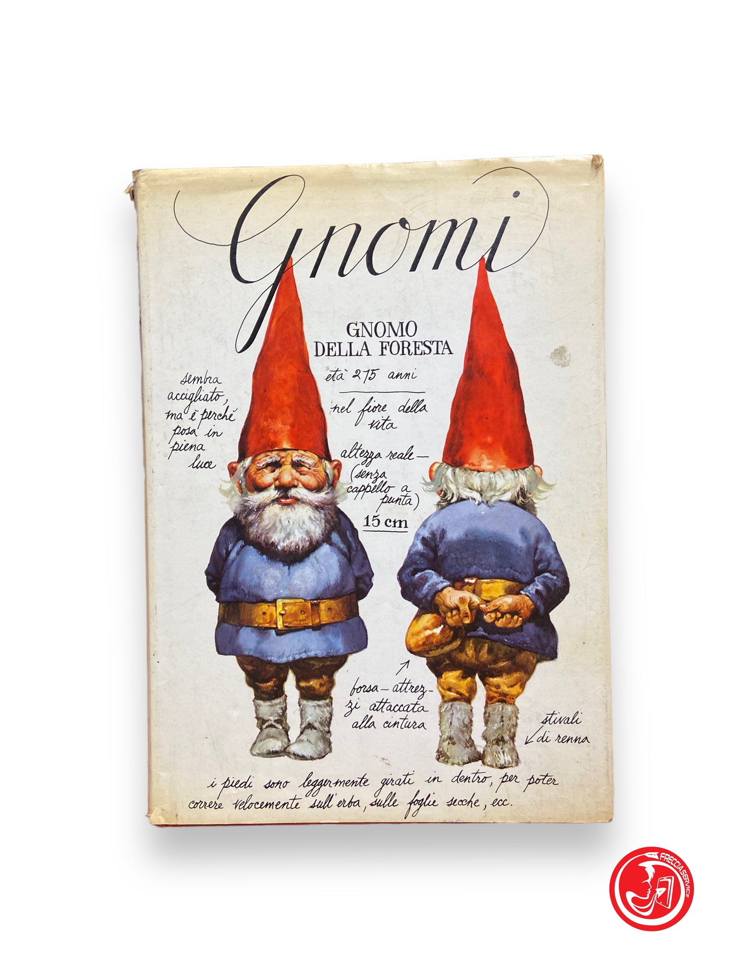 Gnomes - forest gnome - boys 