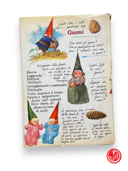 Gnomes - gnome de forêt - garçons 