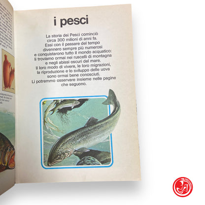 Il libro degli animali - ragazzi