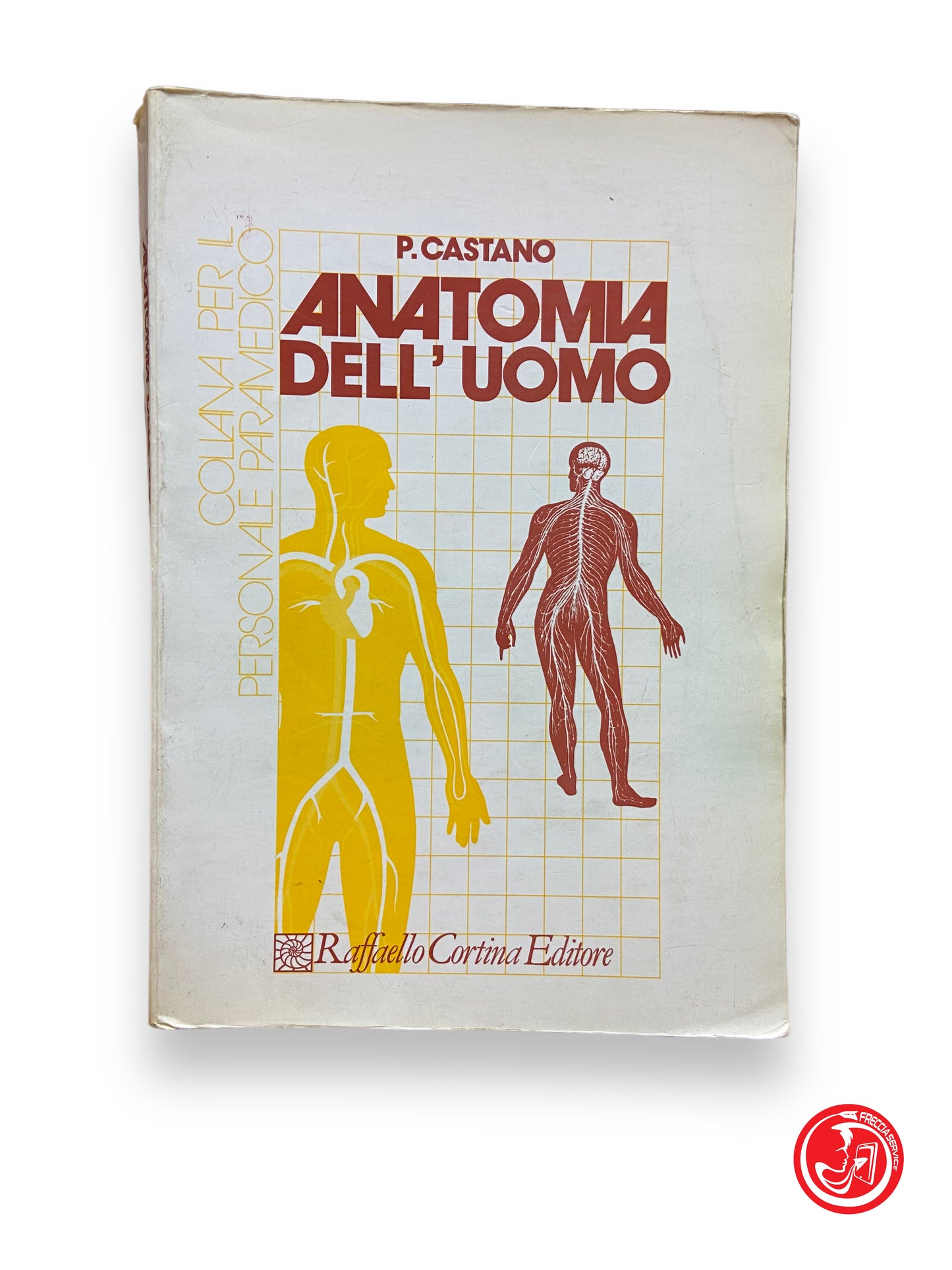 Anatomie de l'homme - P. Castano, éditeur de cartes Raffaello 