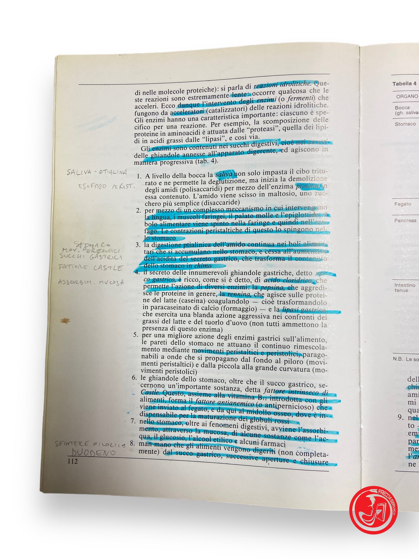 Anatomie de l'homme - P. Castano, éditeur de cartes Raffaello 