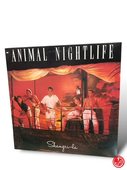 VINILE ANIMAL NIGHTLIFE - SHANGRI-LA