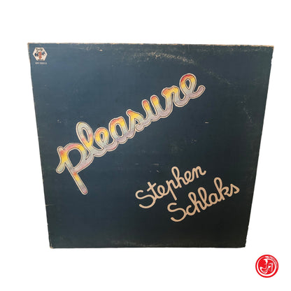 VINILE PLEASURE STEPHEN SCHLAKS