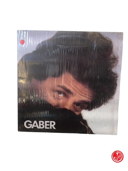 VINILE GABER