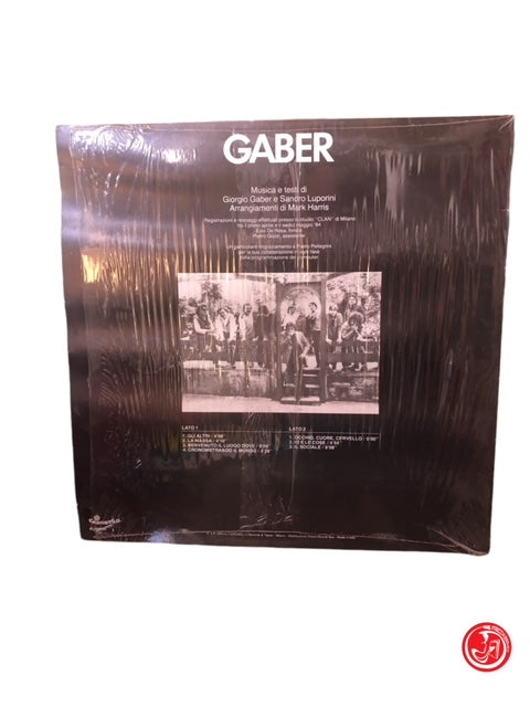 VINILE GABER