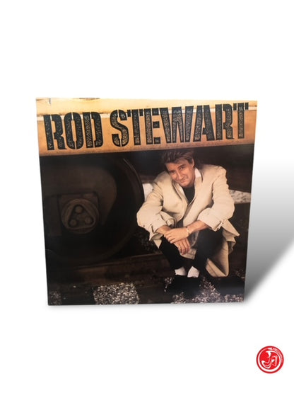 VINILE ROD STEWART