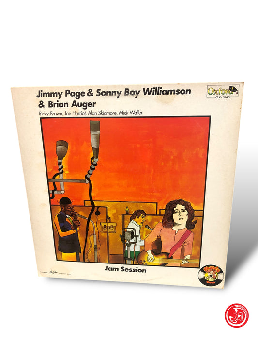 VINILE JIMMY PAGE E SONNY BOY WILLIAMSON