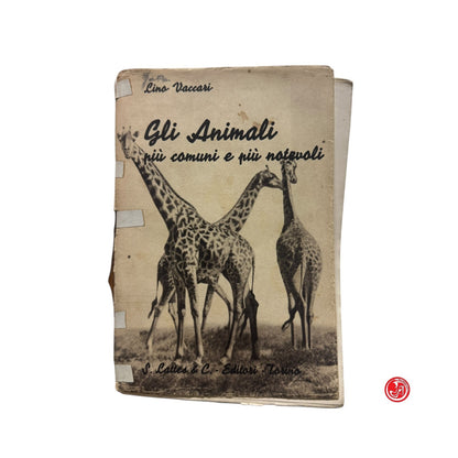 Libro di testo - L. Vaccari - Gli animali più comuni e più naturali