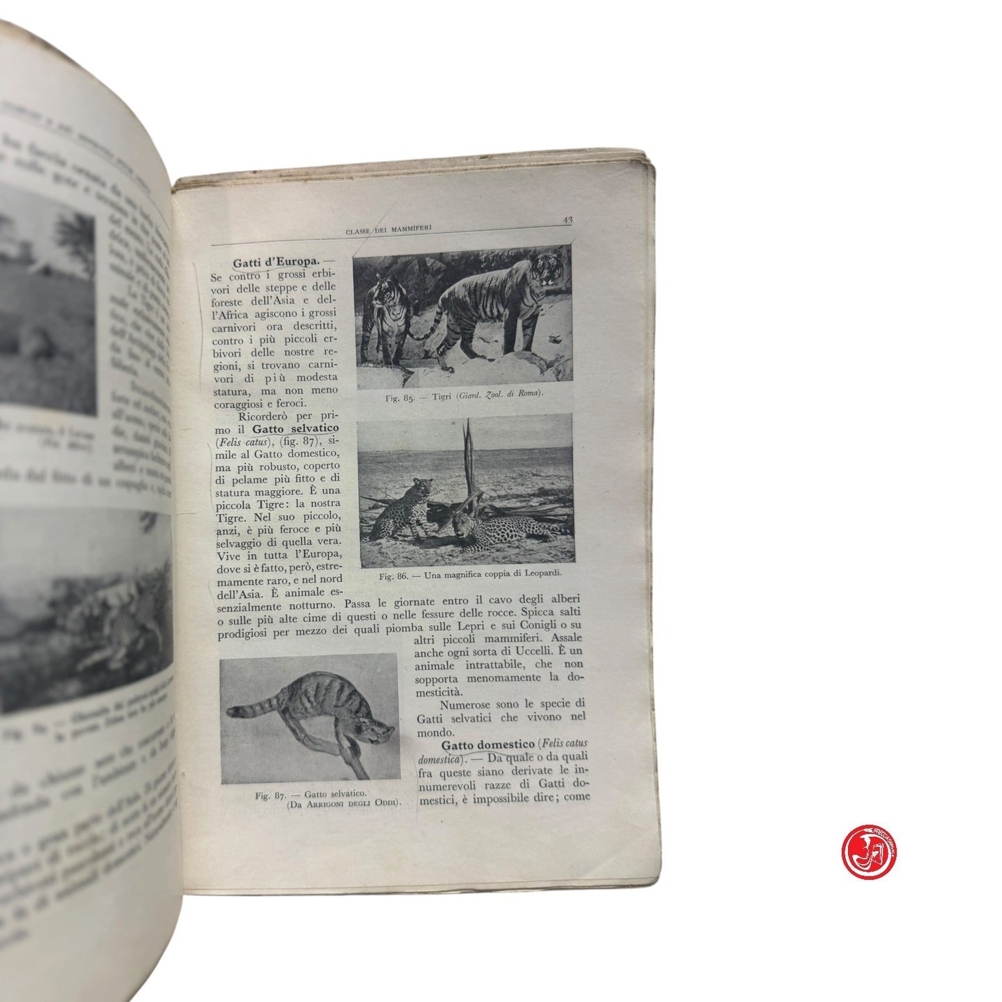 Libro di testo - L. Vaccari - Gli animali più comuni e più naturali