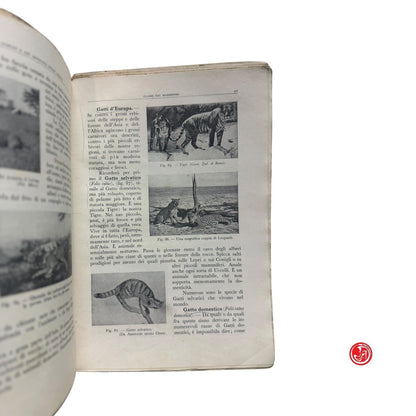 Libro di testo - L. Vaccari - Gli animali più comuni e più naturali