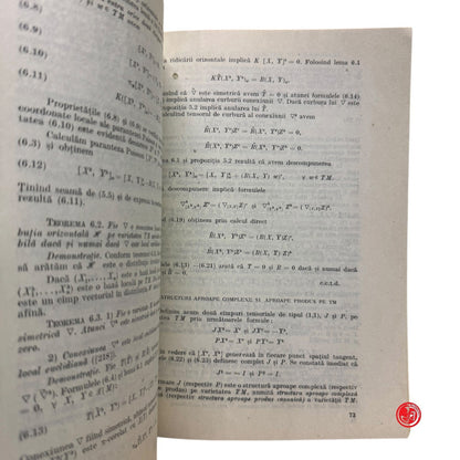 Matematica - S. Ianus - Geometrie diferentiala - Cu aplicatii in teoria relativi
