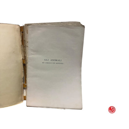 Libro di testo - L. Vaccari - Gli animali più comuni e più naturali