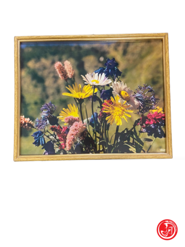 Stampe in cornice - natura