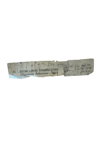 Filigranata Gelatinata - 503B