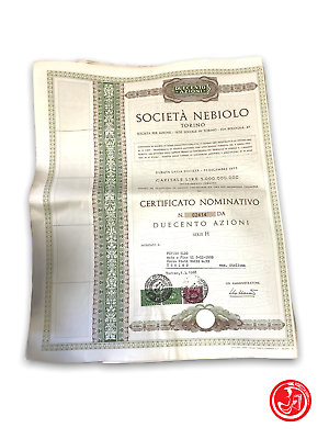 Duecento azioni - Società nebiolo - Certificato nominativo