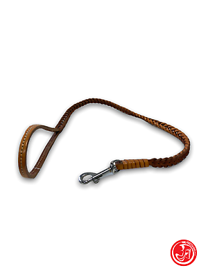 Braided leash