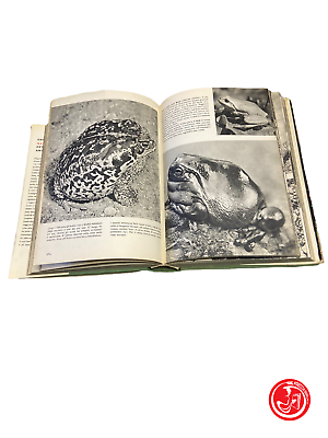 VJ Stanek - Illustrated Encyclopedia of Animals