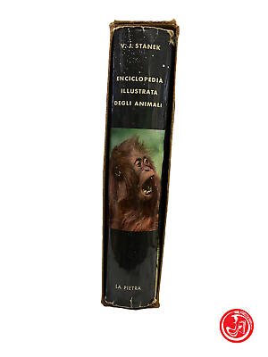 VJ Stanek - Illustrated Encyclopedia of Animals