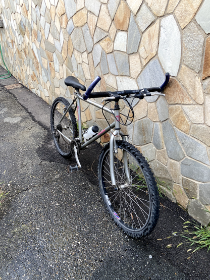 Vélo gris Maisano 