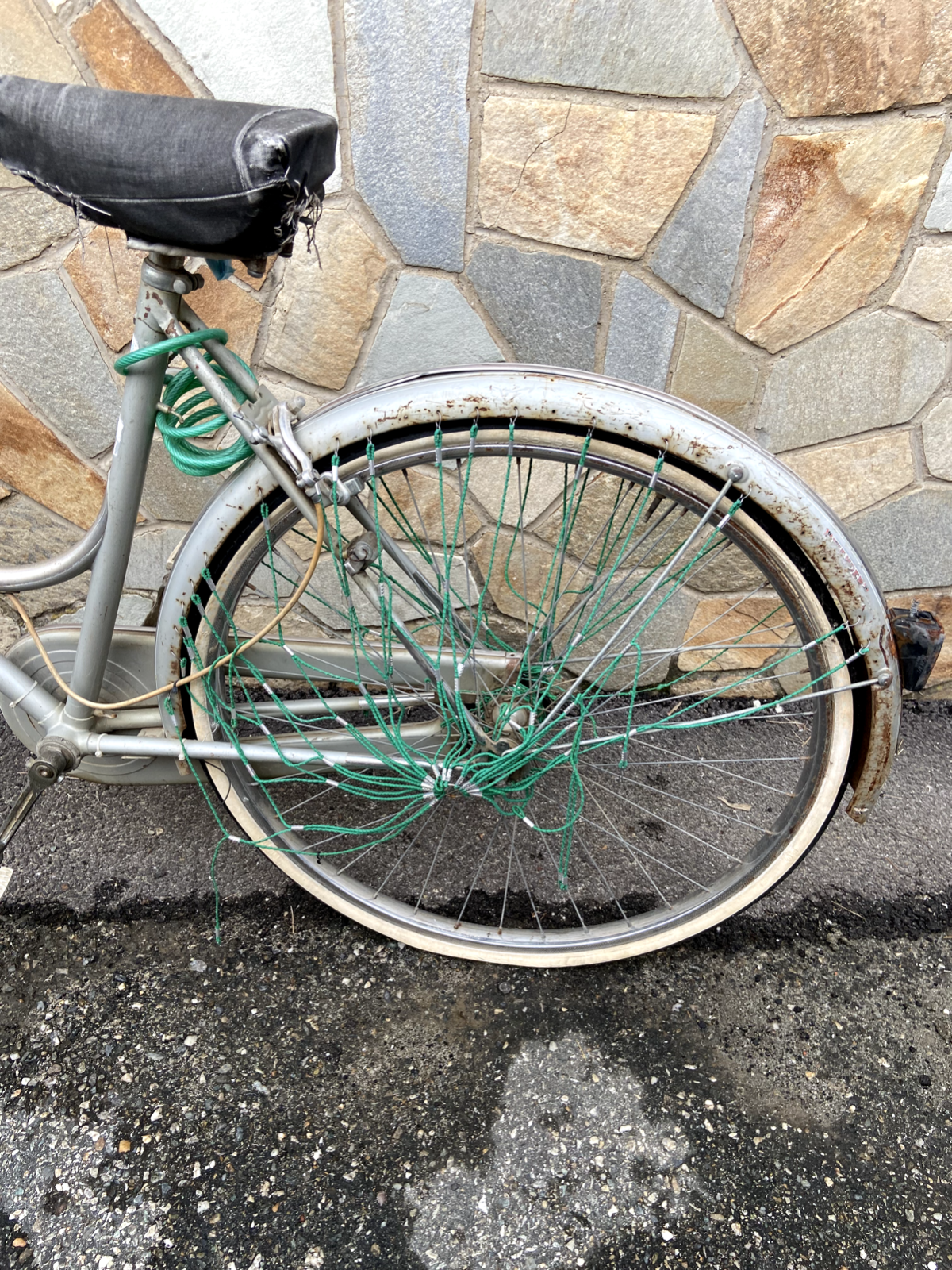 Bicicletta Graziella grigia