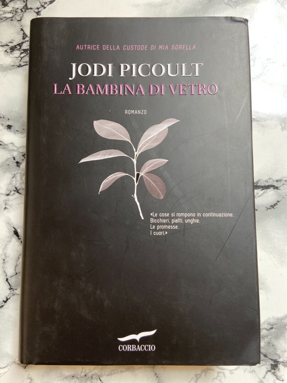 J. Picoult - La Fille de Verre