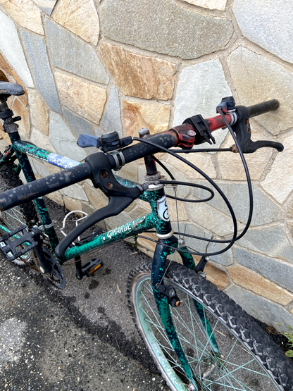 Bicicletta Girardengo