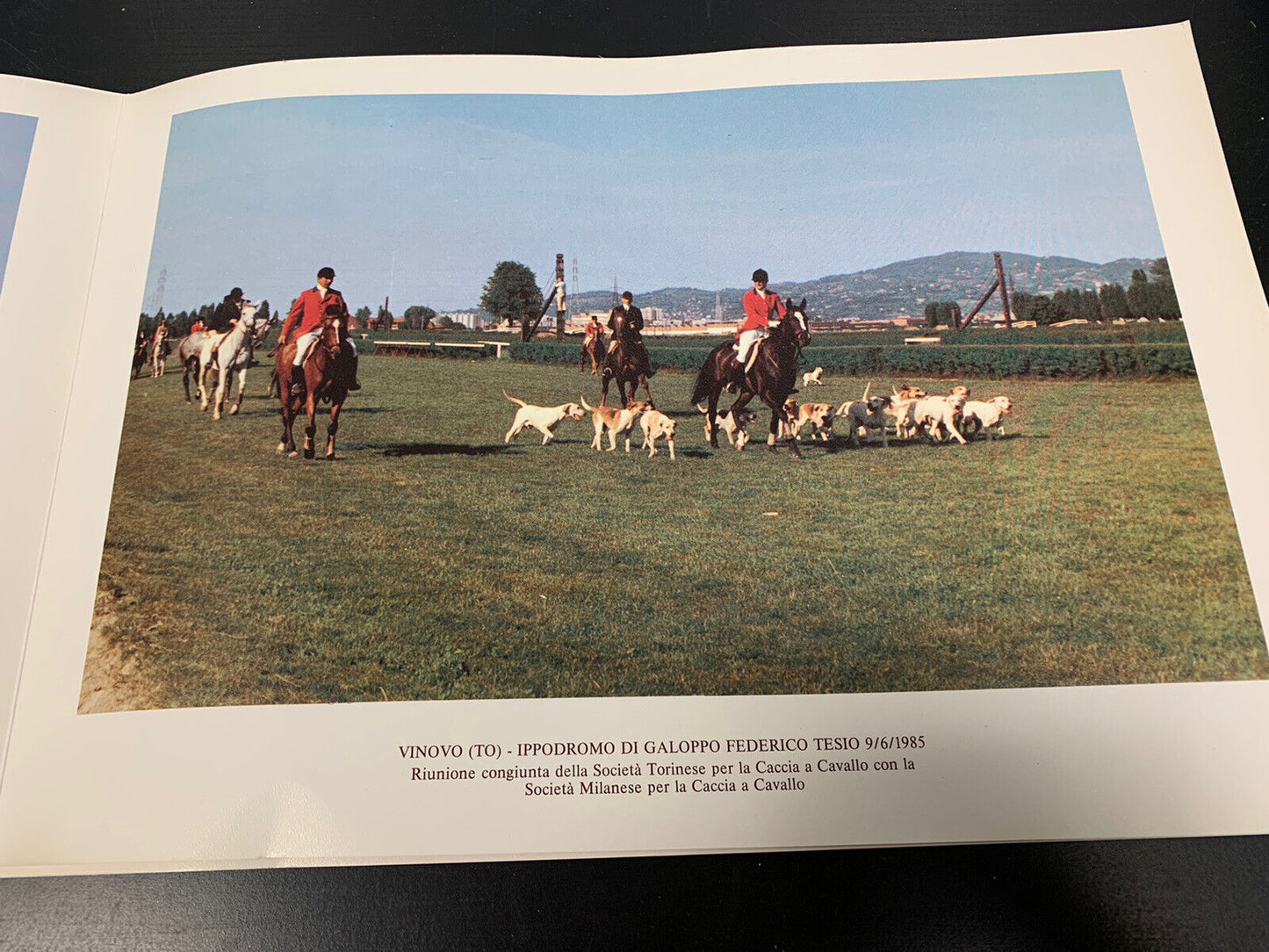 Turin Society for Horse Hunting 1986