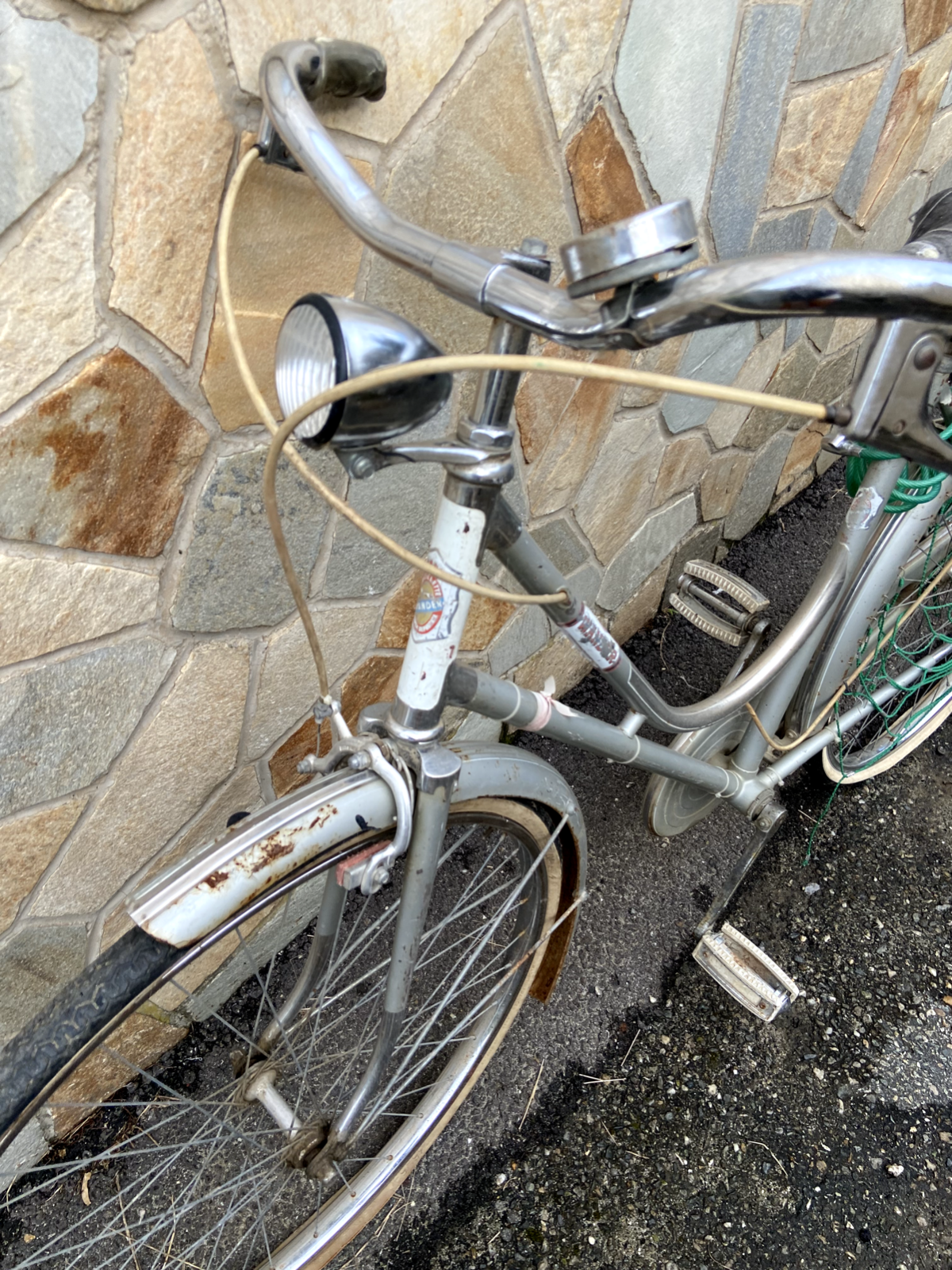 Bicicletta Graziella grigia