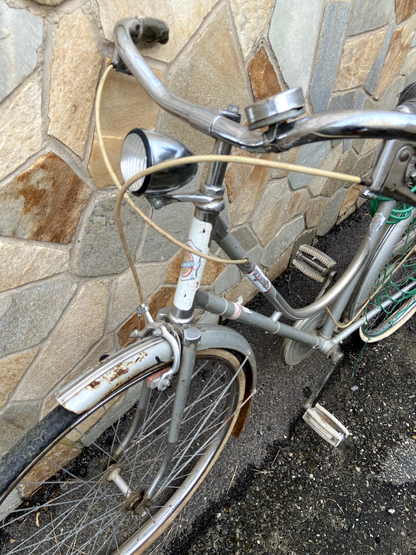 Bicicletta Graziella grigia
