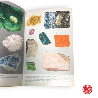 Minerals and rocks - Peyrot - Editrice saie 