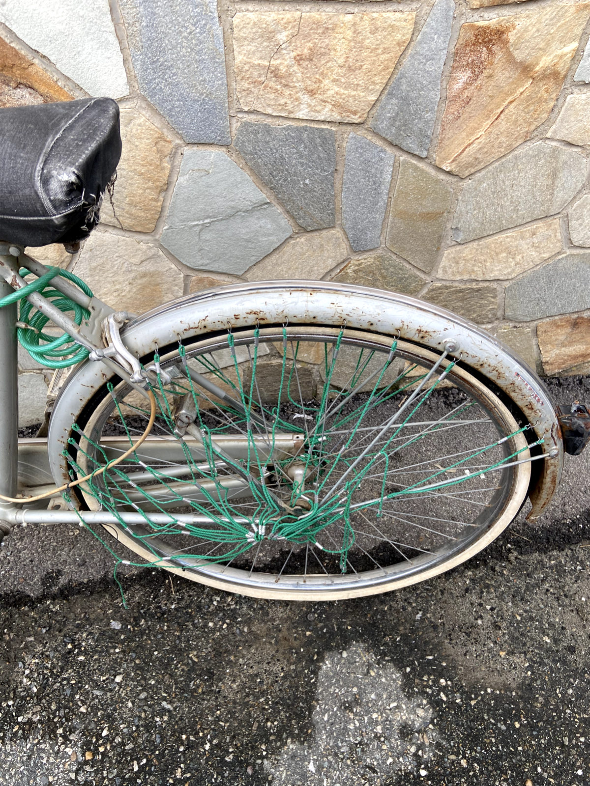 Bicicletta Graziella grigia
