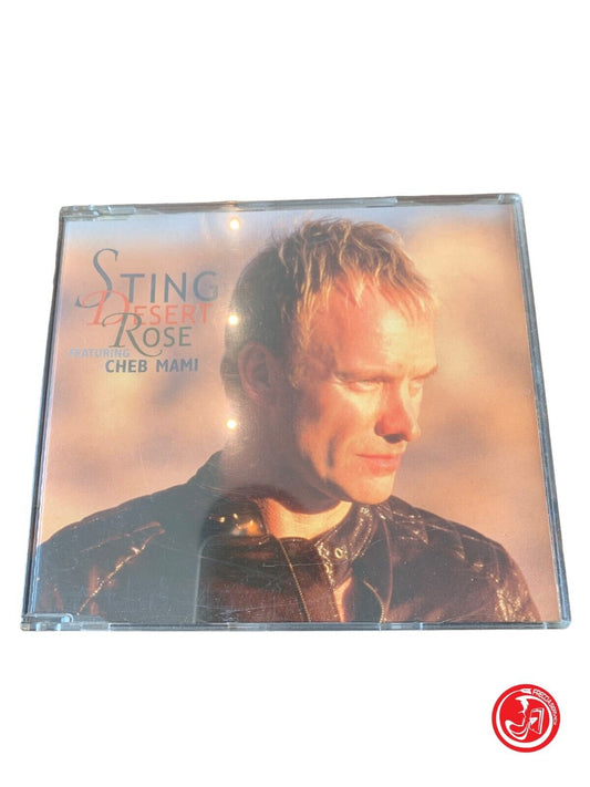 Sting avec Cheb Mami - Rose du Désert