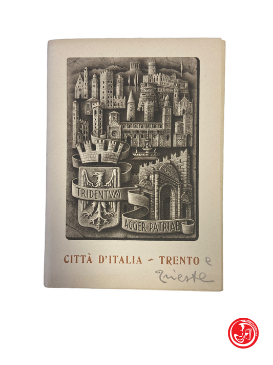 Circa 12 cartoline di  Trento e Trieste - vintage
