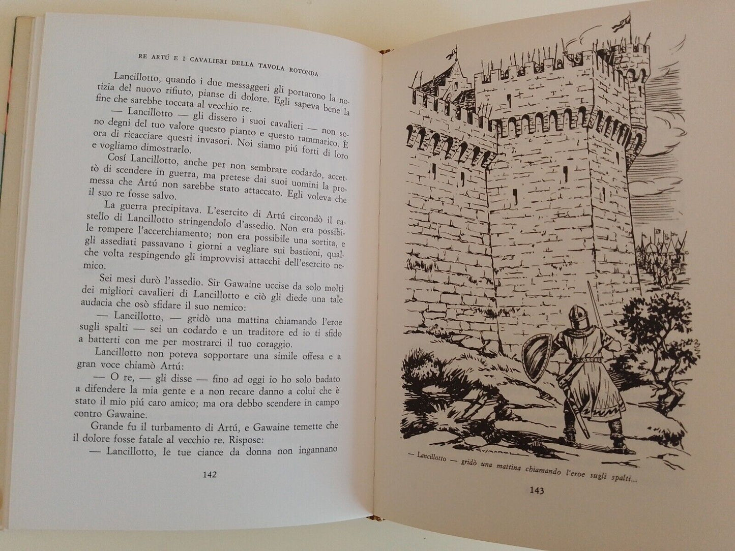 Re Artù e i Cavalieri della Tavola Rotonda - M.L. Robinson