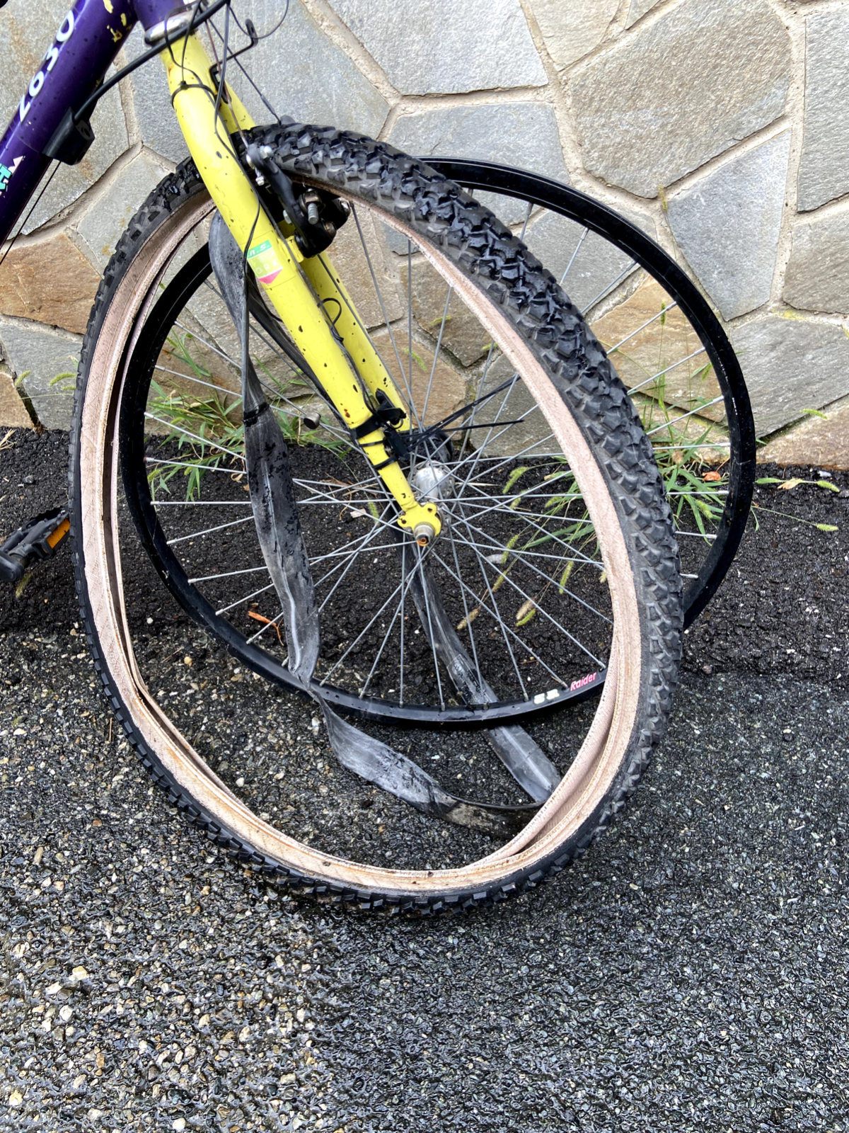 Bicicletta B.A.S. quota