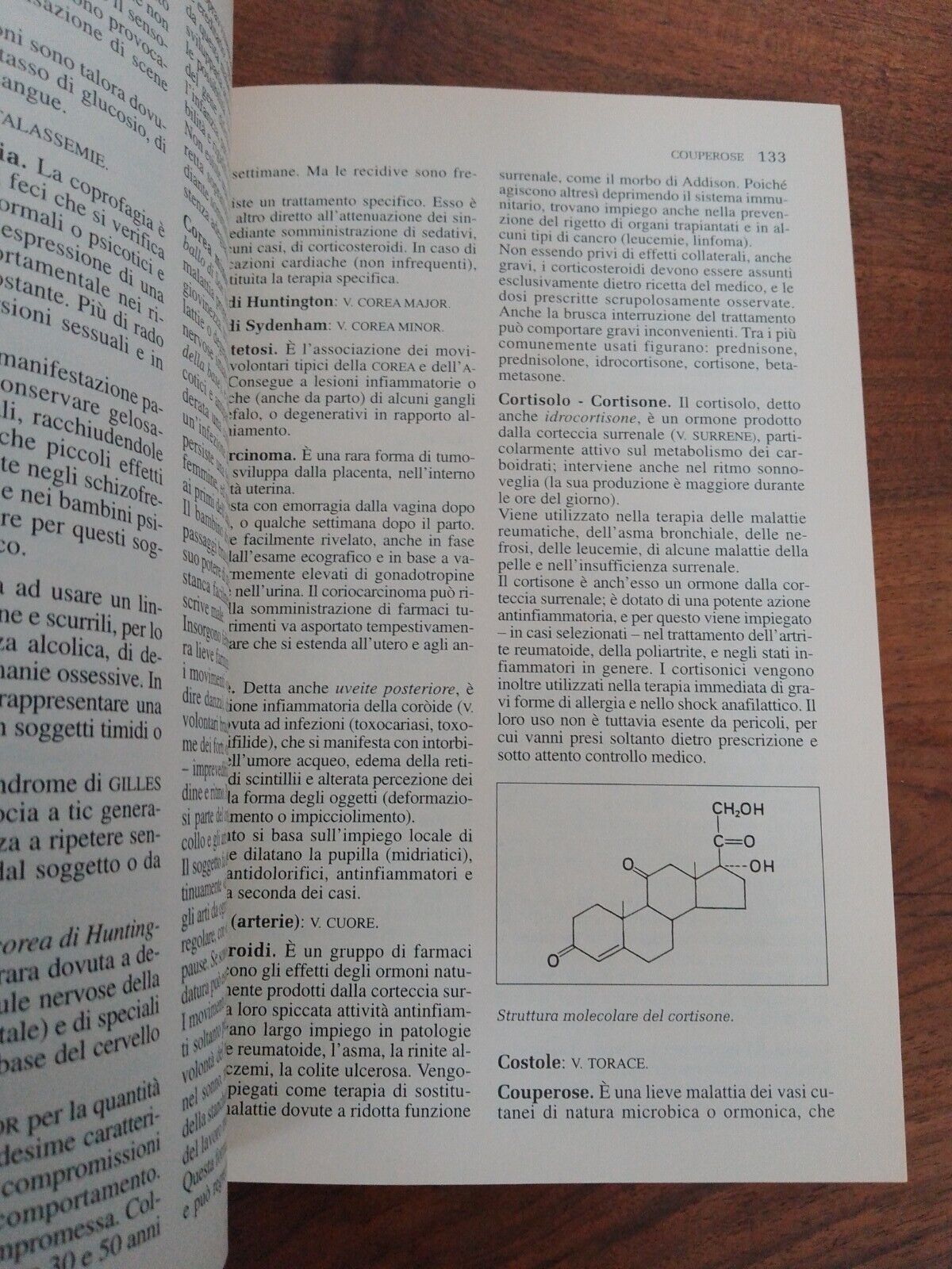 MEDICAL DICTIONARY, L.Sterpellone, NEWTON - 2000