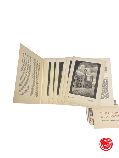 About 12 postcards of Trento and Trieste - vintage