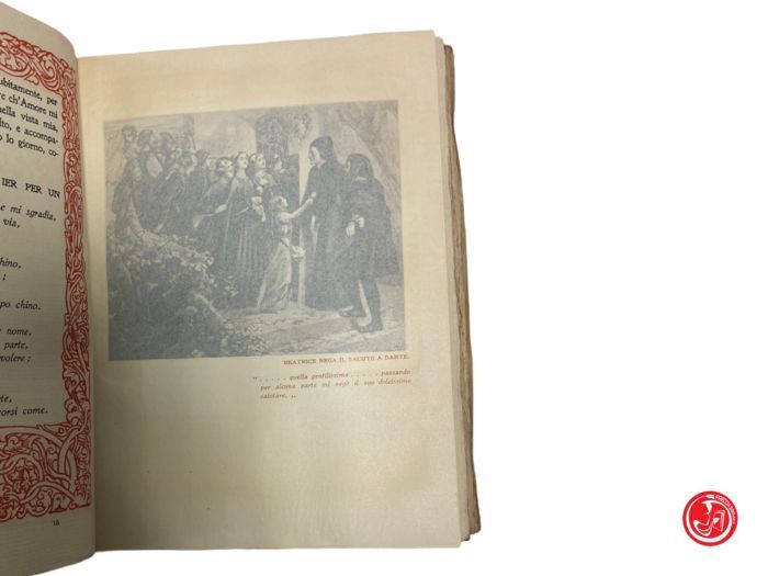 La vita nova di Dante. Dantis amor
