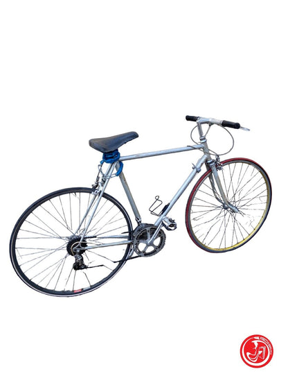 Bicicletta grigia per adulto