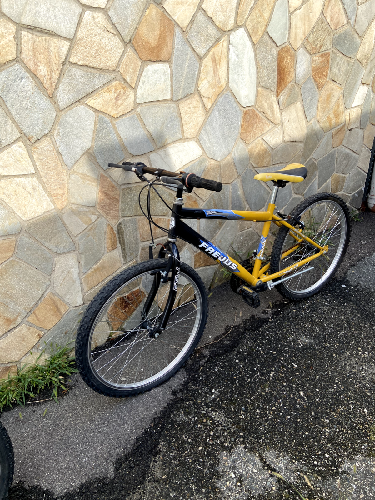 Bicicletta Bici Service Bicicleta Mtb Frejus 29 Prezzo Bicycle